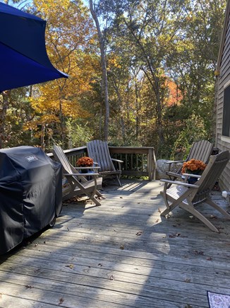 West Falmouth Cape Cod vacation rental - Back deck with Weber grill and Adirondack chairs