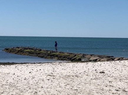 South Harwich Cape Cod vacation rental - Short walk to Red River Beach