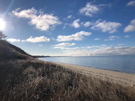 Truro, Cold Storage Beach Cape Cod vacation rental - View to the south from the cottage