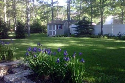 Mashpee Cape Cod vacation rental - Backyard in springtime