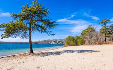 Mashpee Cape Cod vacation rental - Johns Pond