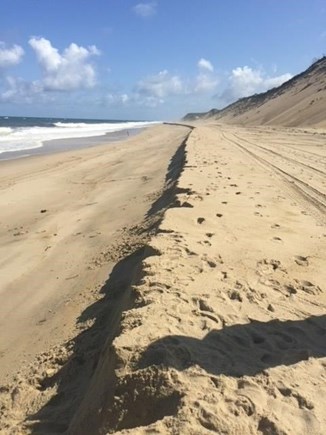 Truro Cape Cod vacation rental - Miles and miles of natural beauty a 10 minute walk away.