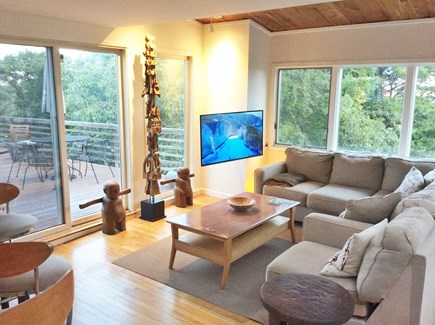 Provincetown, Ptown Cape Cod vacation rental - ROKU television on relaxing area view of the dunes and bay water
