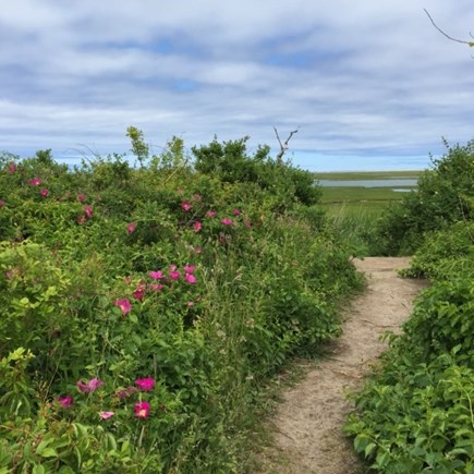 South Eastham Cape Cod vacation rental - Walk at Fort Hill- National Seashore
