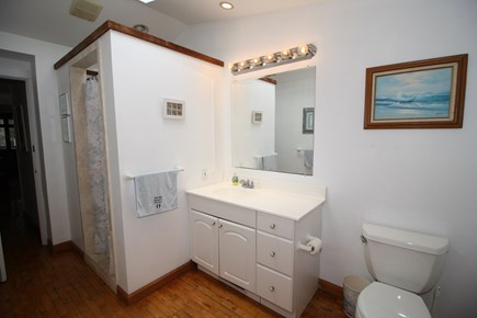Dennis Port Cape Cod vacation rental - Down stairs bathroom