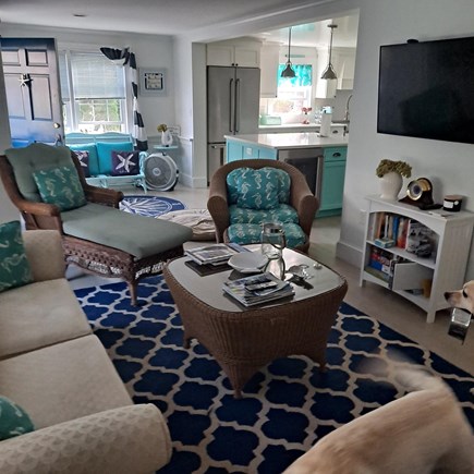 Falmouth Village Cape Cod vacation rental - Living room with pull out bed in sofa
