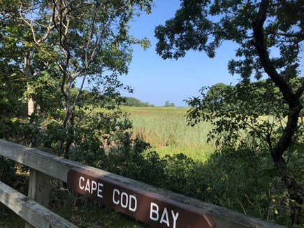 Eastham Cape Cod vacation rental - View from Cape Cod bike trail