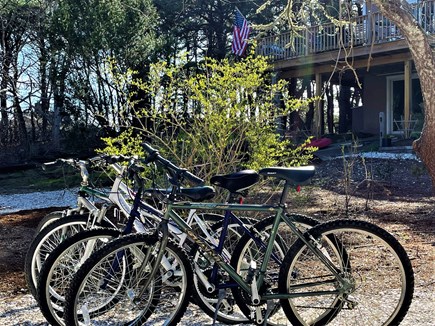 Wellfleet, Shell City - Lt. Island Cape Cod vacation rental - 4 bikes available for use