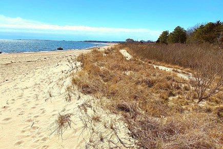 Yarmouth Cape Cod vacation rental - A Wave From It All's Powdered Sandy Ocean Beach.