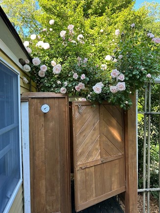 Eastham  Cape Cod vacation rental - Outdoor shower