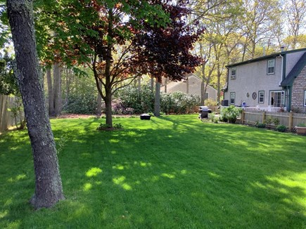 Falmouth Cape Cod vacation rental - Fenced private backyard