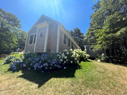 Truro Cape Cod vacation rental - Back entry to separate bedroom - back deck/ outdoor shower