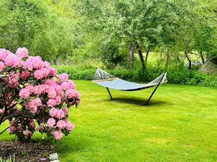 Brewster Cape Cod vacation rental - Take a mid-day nap or gently sway in the breeze on this hammock - 671 Great Fields Rd Brewster Cape Cod - Beach Glass - New England Vacation Rentals