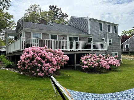 Brewster Cape Cod vacation rental - View from the hammock to some of the beautiful plantings  that surround the home - 671 Great Fields Rd Brewster Cape Cod - Beach Glass - New England V