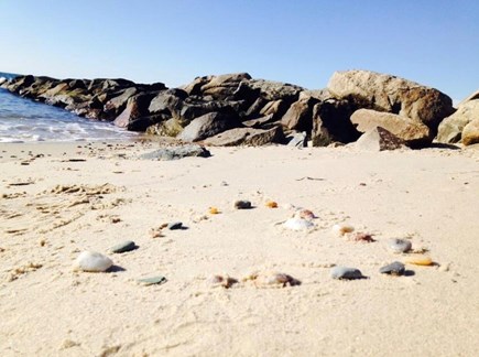 Dennis Port  Cape Cod vacation rental - Glendon Beach