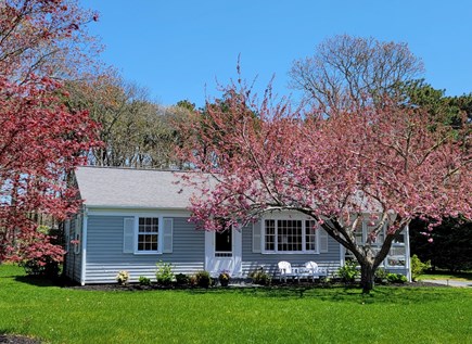 South Yarmouth Cape Cod vacation rental - Front