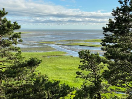 Wellfleet Cape Cod vacation rental - Marsh view