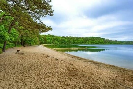 East Sandwich Cape Cod vacation rental - .2 mile walk to Spectacle Pond - great kids beach, kayaking, SUP