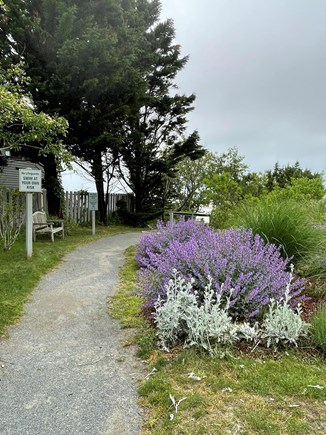 Brewster  Cape Cod vacation rental - Path to the private bayside beach.