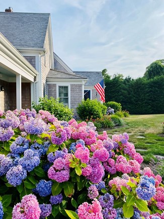 Chatham Cape Cod vacation rental - Gorgeous garden views throughout the property!