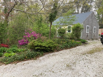 Chatham Cape Cod vacation rental - Front Driveway