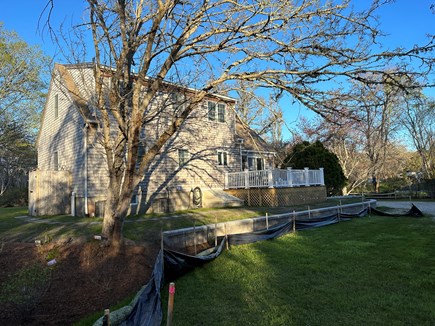 Brewster Cape Cod vacation rental - Back yard with shade tree and new plantings.