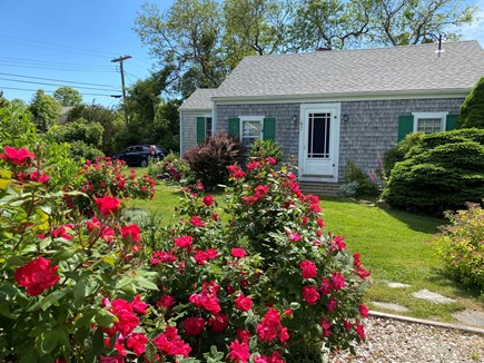 West Brewster Cape Cod vacation rental - Welcome to the Cottage!