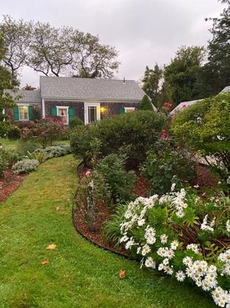 West Brewster Cape Cod vacation rental - The cottage in the Fall with Nantucket daisies.