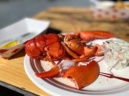 West Brewster Cape Cod vacation rental - Lobsta!