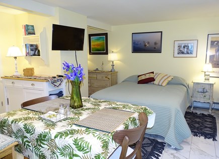 Eastham Cape Cod vacation rental - Flat screen TV with  swivel arm so you can enjoy anywhere