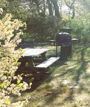 Brewster Cape Cod vacation rental - Private backyard with outdoor shower, BBQ grill, laundry entrance