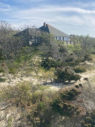 Brewster Cape Cod vacation rental - Private and nestled in the dunes.