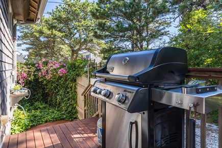 Eastham Cape Cod vacation rental - Grill