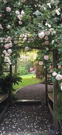 Eastham Cape Cod vacation rental - Welcoming rose arbor entrance into the gardens and backyard.