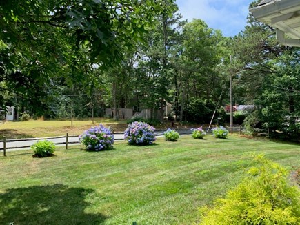 West Yarmouth Cape Cod vacation rental - Well maintained yard