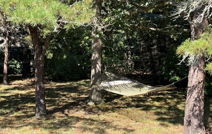 Eastham Cape Cod vacation rental - Relax in the hammock and enjoy the Cape breeze