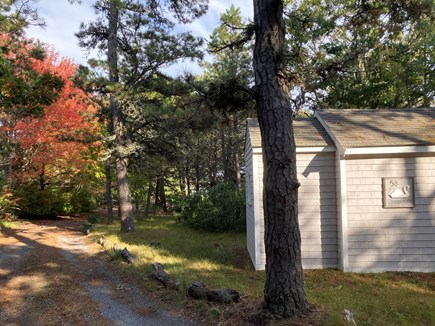South Dennis Cape Cod vacation rental - View past the play cottage, down the 450’ driveway