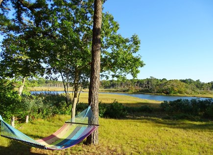 South Dennis Cape Cod vacation rental - …the hammock