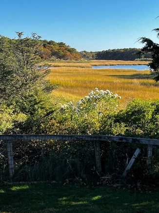 West Dennis Cape Cod vacation rental - backyard view
