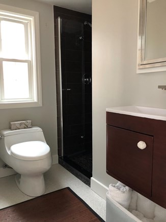 Mashpee Cape Cod vacation rental - First floor bathroom offers walk in shower.