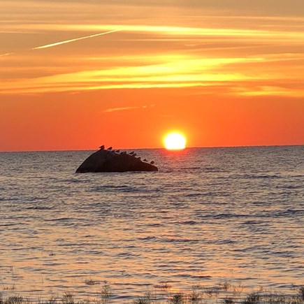 East Orleans Cape Cod vacation rental - Sunset at Rock Harbor, 5 minute drive