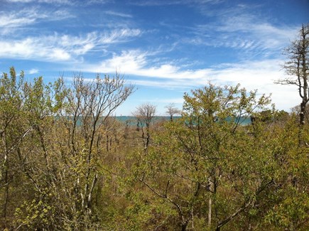 Ocean Edge, Brewster Cape Cod vacation rental - View from Primary Bedroom Deck