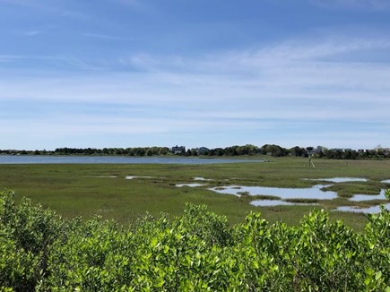 West Yarmouth Cape Cod vacation rental - Marsh views