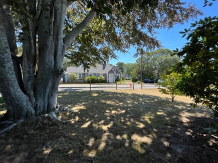 Hyannis Cape Cod vacation rental - Front Yard - Hyannis Two Bedroom Cottage