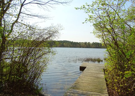 On Higgins Pond in Wellfleet Cape Cod vacation rental - Kayak, relax, watch the birds from dock on Higgins Pond