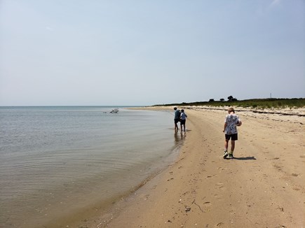 Harwich Cape Cod vacation rental - Monomoy Beach just 10 minutes away, hike to a private beach!