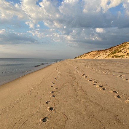 Wellfleet Village Cape Cod vacation rental - Wellfleet has some of the most amazing beaches and ponds!