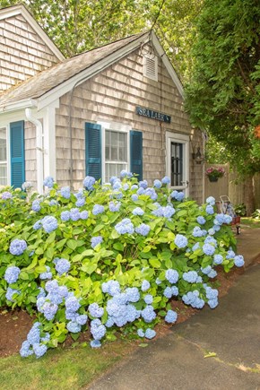 West Harwich Cape Cod vacation rental - Relaxing and peaceful yard