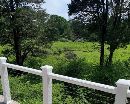 East Orleans Cape Cod vacation rental - Serene view from deck