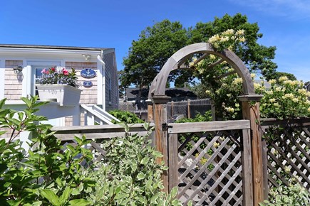 Dennis Port Cape Cod vacation rental - Beauty in bloom enter through trellis gate